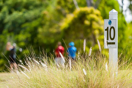 non-members, golf visitors 